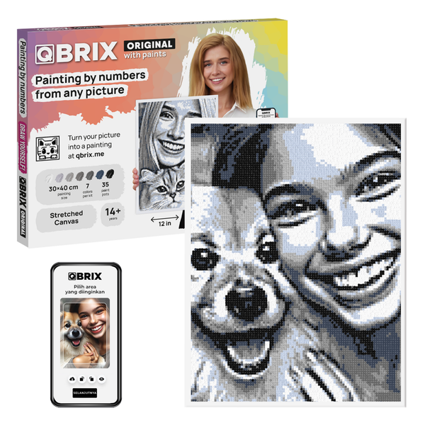 QBRIX Paint by Numbers - Original